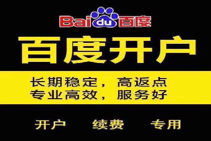 竞价账户优化与维护，代运营公司的专业能力展示